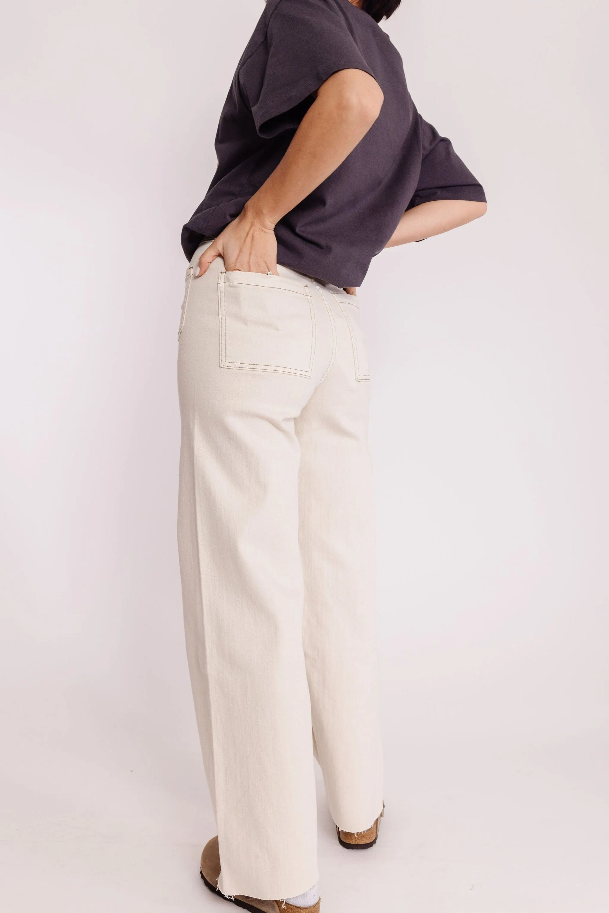 Fergie Pant in Washed Beige